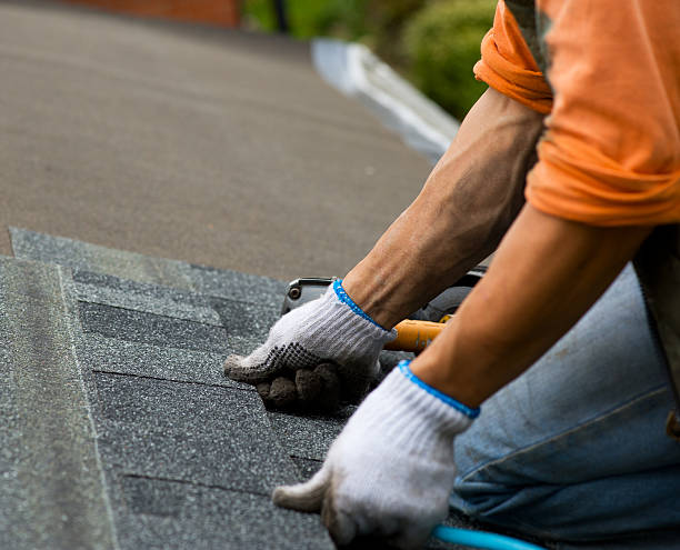 Best Roof Maintenance Services  in Brookville, OH